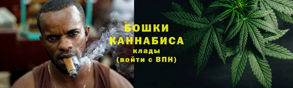 сатива Богородицк