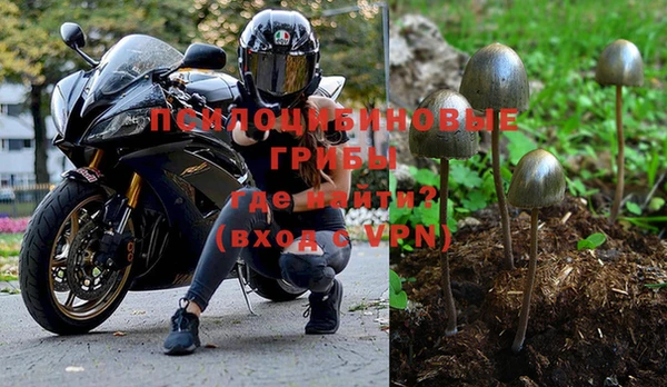 сатива Богородицк