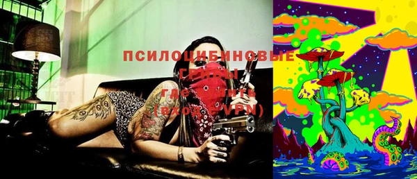 сатива Богородицк