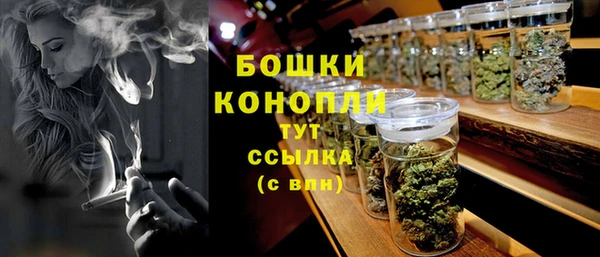 сатива Богородицк