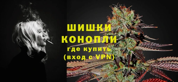 сатива Богородицк