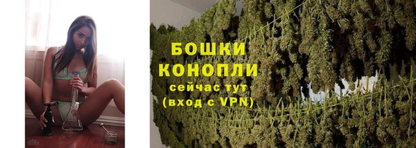 сатива Богородицк